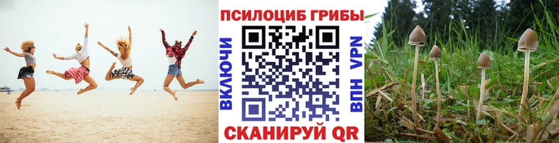 hydra ссылка  Северо-Курильск  Псилоцибиновые грибы Magic Shrooms 